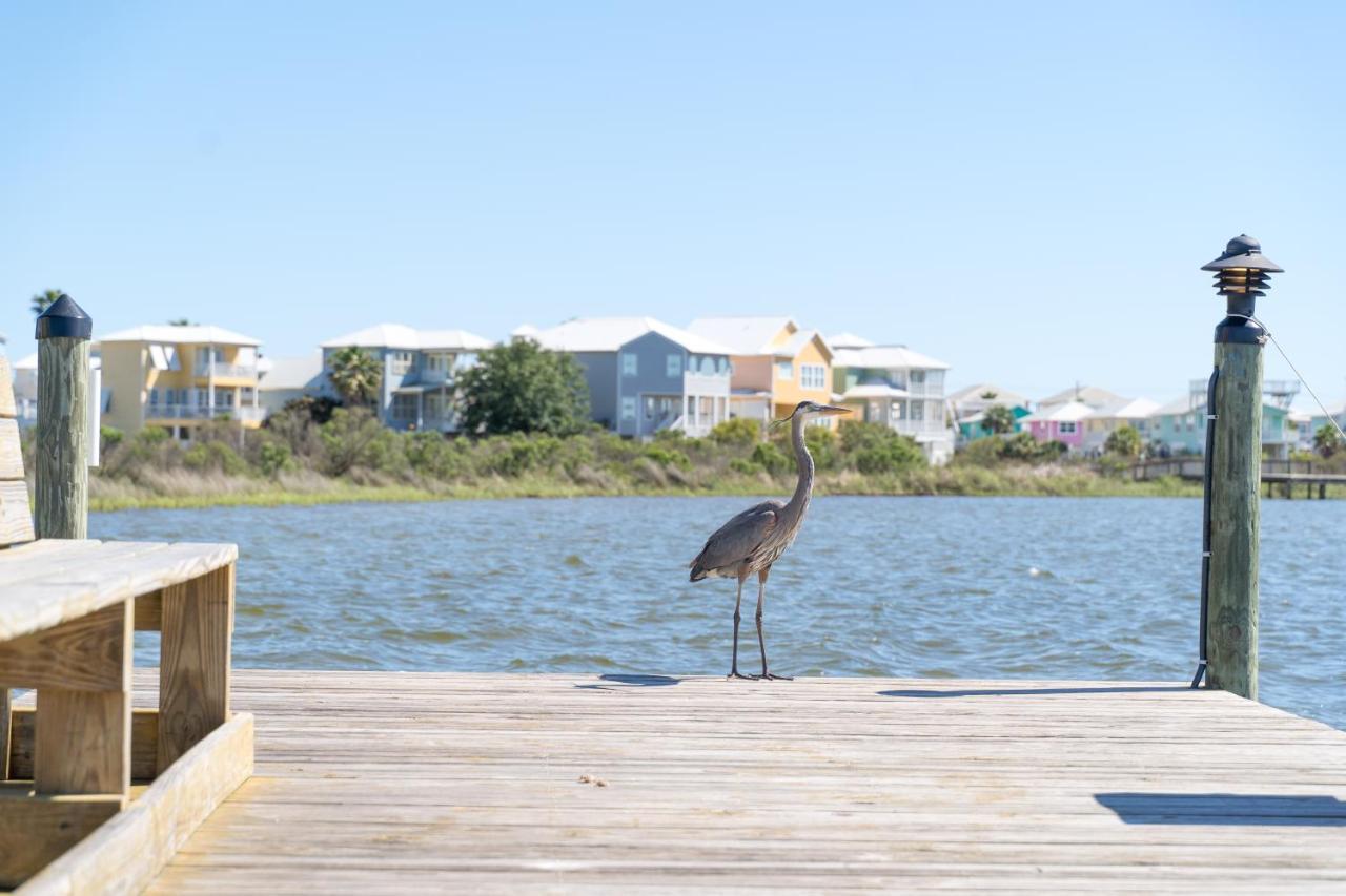 Compass Point 310 Apartment Gulf Shores Exterior photo